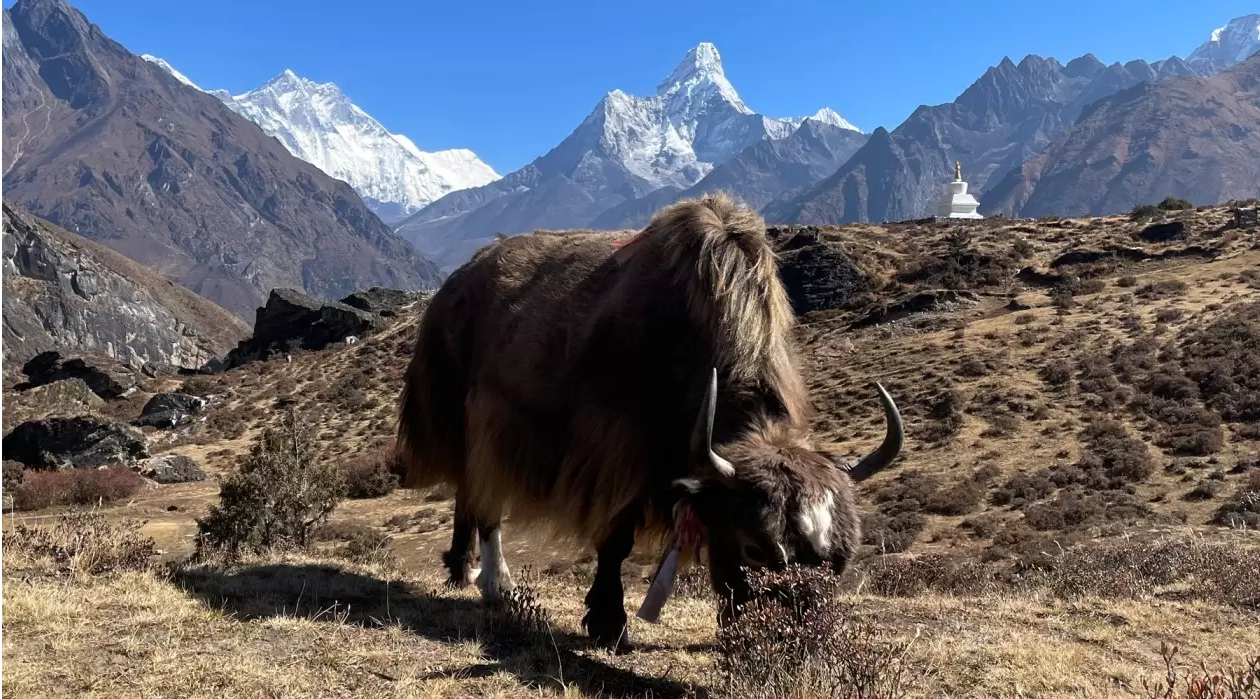 Everest Region Trek