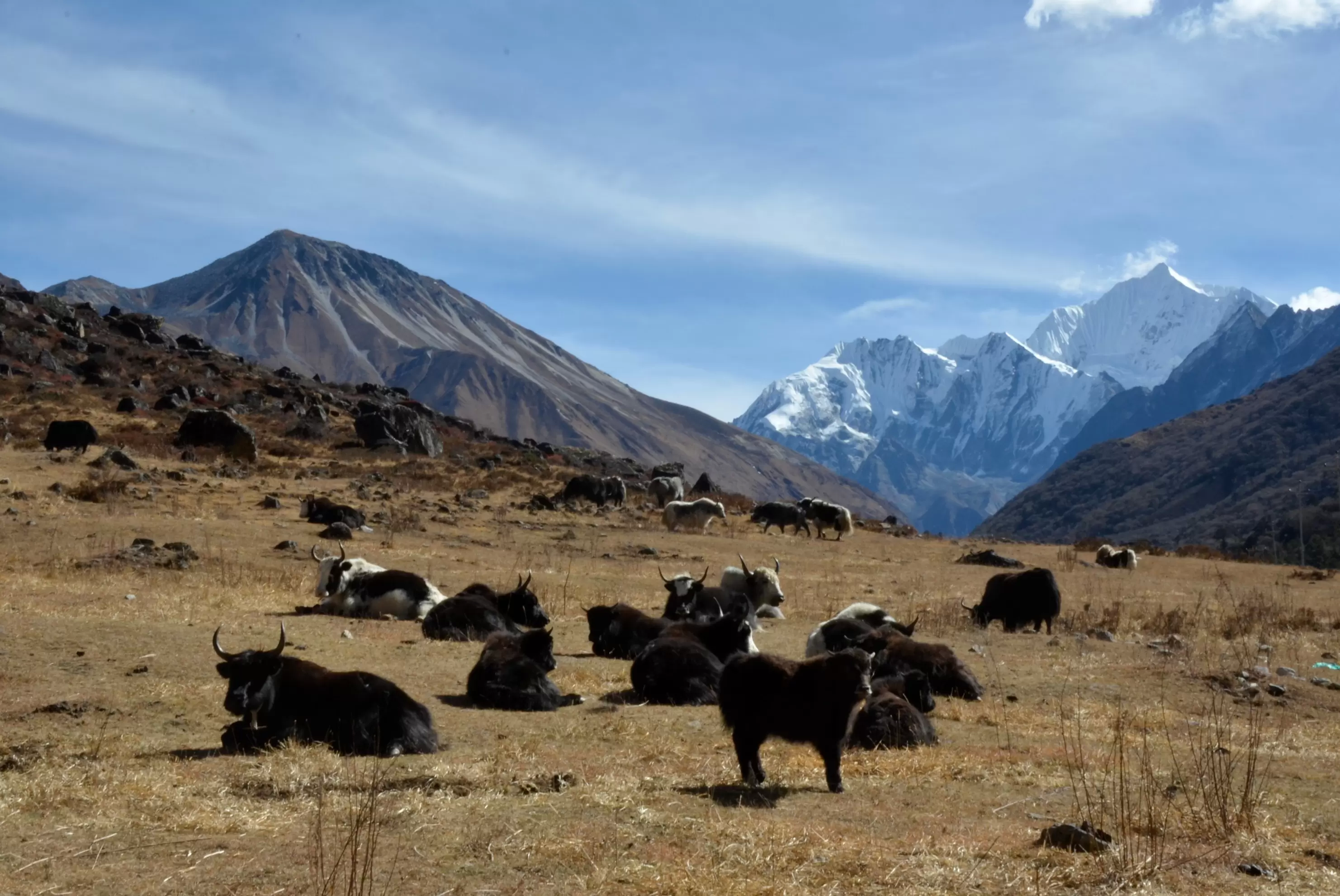 Langtang Region Trek