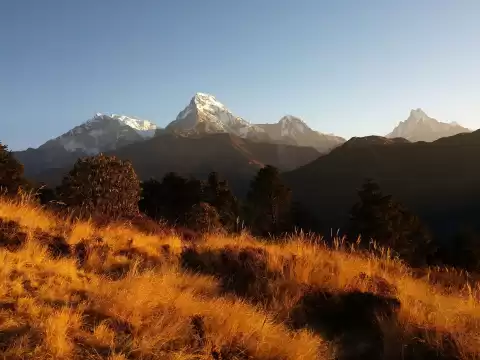 Khopra Ridge and Mohare Danda Trek
